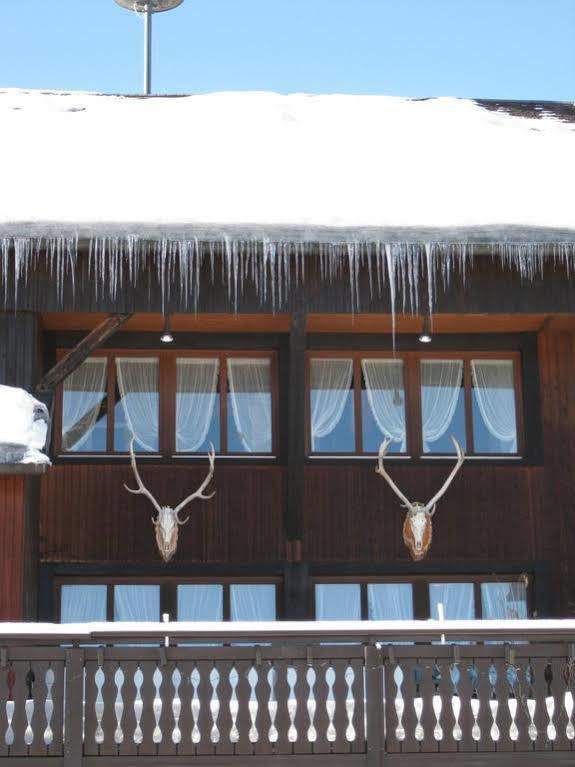 Schwarzwaldgasthof Hotel Hirschen Ibach エクステリア 写真