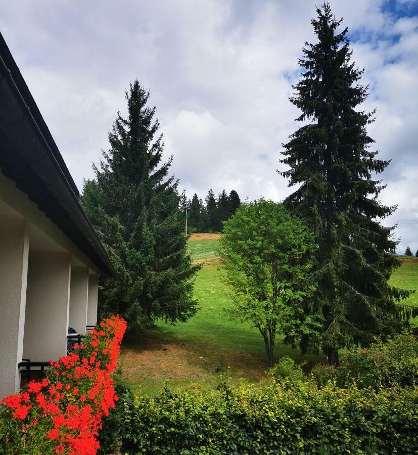 Schwarzwaldgasthof Hotel Hirschen Ibach エクステリア 写真